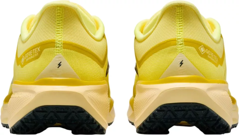Tekaški copati Nike Pegasus 41 GORE-TEX