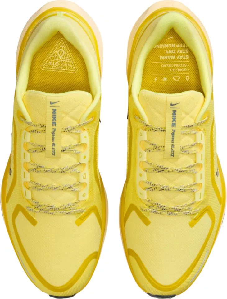 Tekaški copati Nike Pegasus 41 GORE-TEX