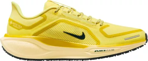 Pegasus 41 GORE-TEX