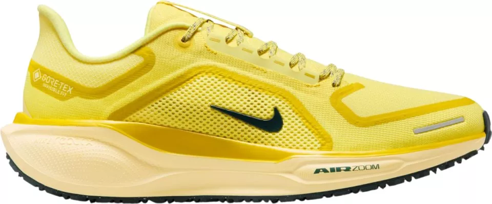 Tekaški copati Nike Pegasus 41 GORE-TEX