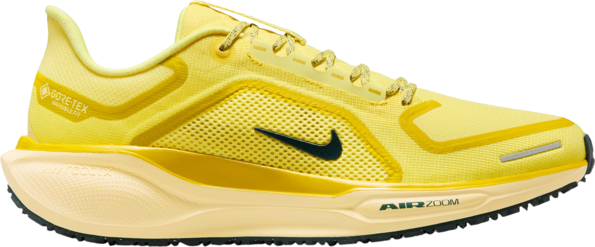 Tekaški copati Nike Pegasus 41 GORE-TEX
