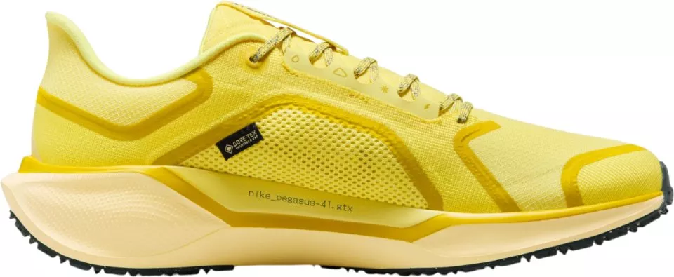 Tekaški copati Nike Pegasus 41 GORE-TEX