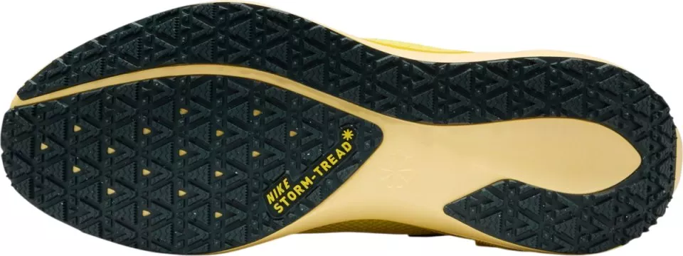 Tekaški copati Nike Pegasus 41 GORE-TEX