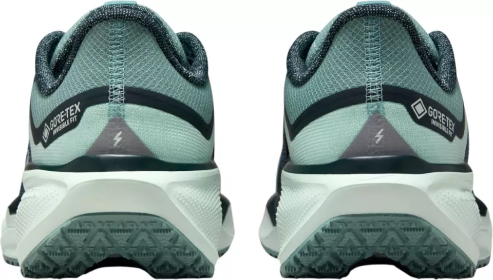 Buty do biegania Nike Pegasus 41 GORE-TEX