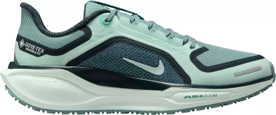 Buty do biegania Nike Pegasus 41 GORE-TEX