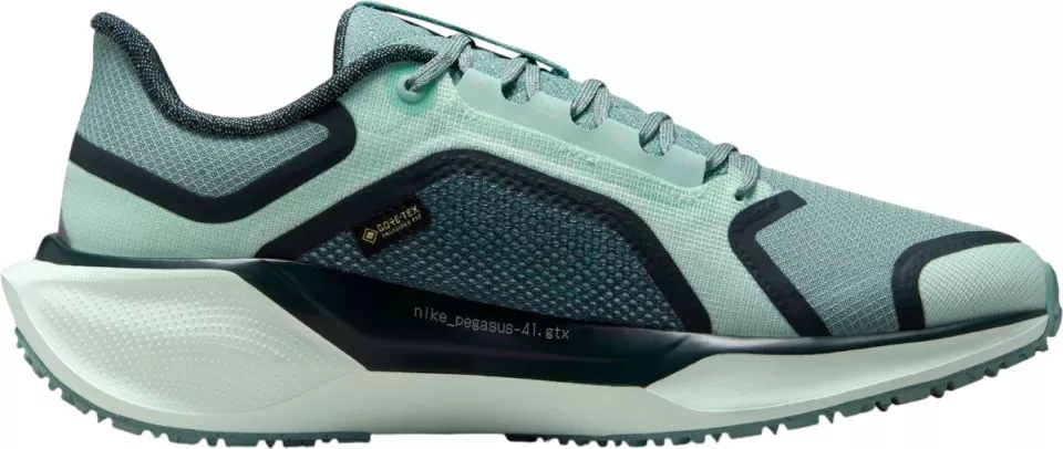 Buty do biegania Nike Pegasus 41 GORE-TEX
