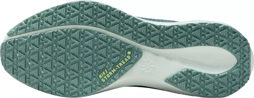 Buty do biegania Nike Pegasus 41 GORE-TEX