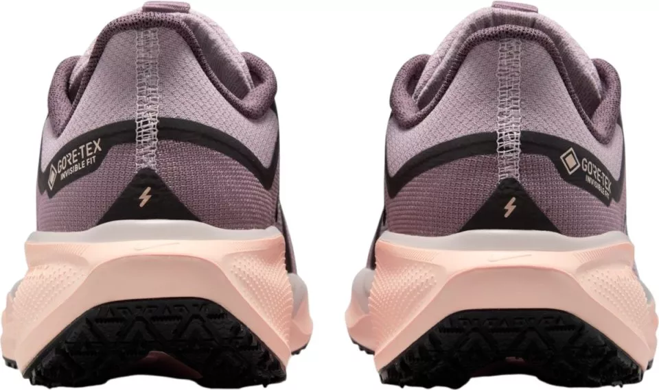Hardloopschoen Nike Pegasus 41 GORE-TEX