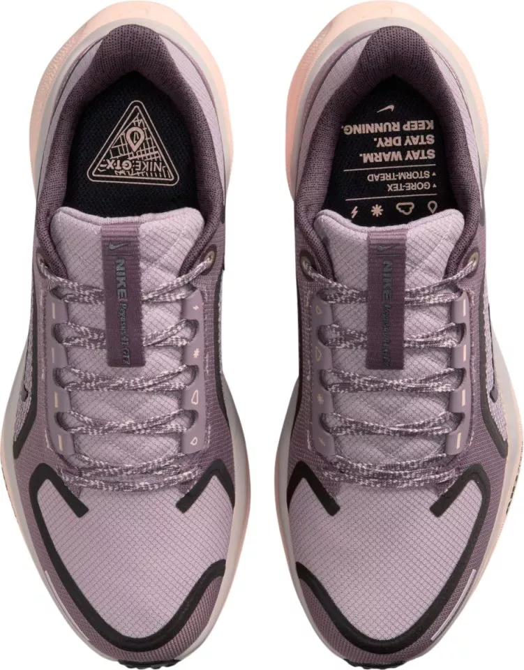 Hardloopschoen Nike Pegasus 41 GORE-TEX
