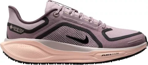 Pegasus 41 GORE-TEX