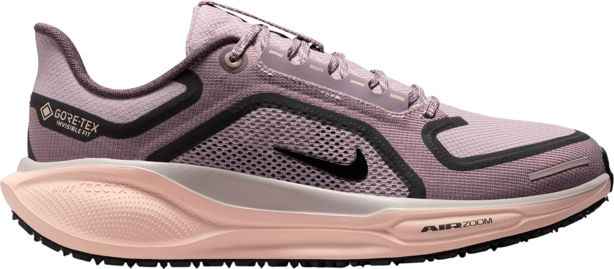 Hardloopschoen Nike Pegasus 41 GORE-TEX