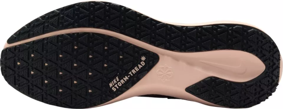 Hardloopschoen Nike Pegasus 41 GORE-TEX