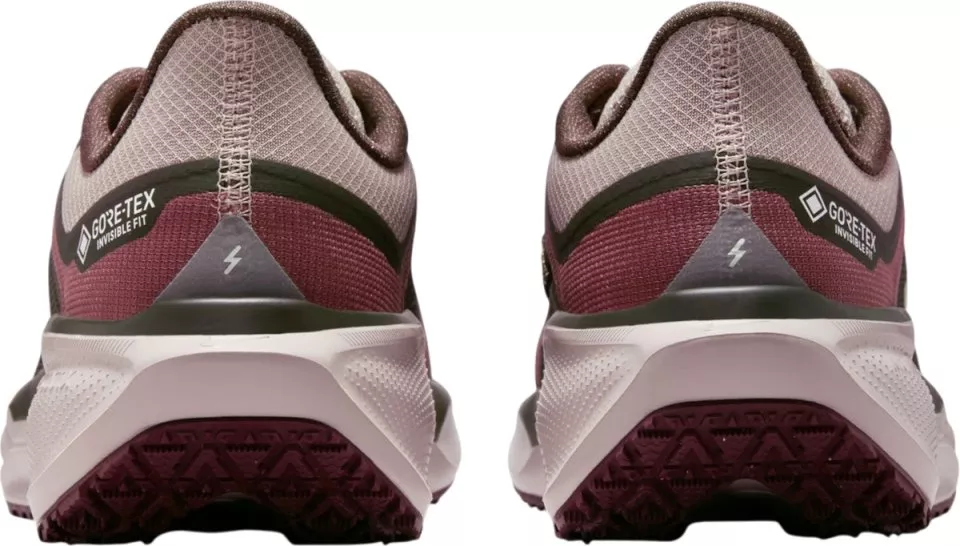 Hardloopschoen Nike Pegasus 41 GORE-TEX