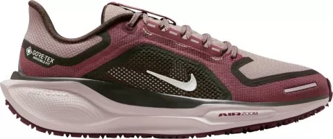 Pegasus 41 GORE-TEX