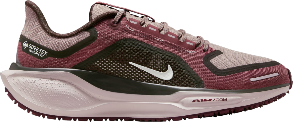 Hardloopschoen Nike Pegasus 41 GORE-TEX