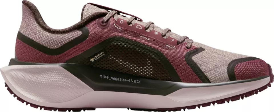 Hardloopschoen Nike Pegasus 41 GORE-TEX