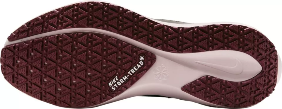 Hardloopschoen Nike Pegasus 41 GORE-TEX