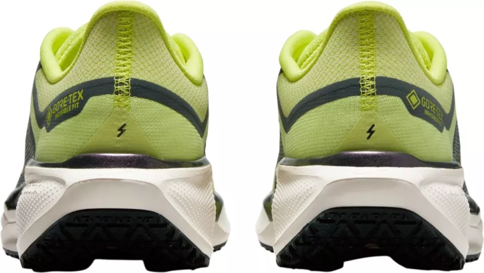 Juoksukengät Nike Pegasus 41 GORE-TEX