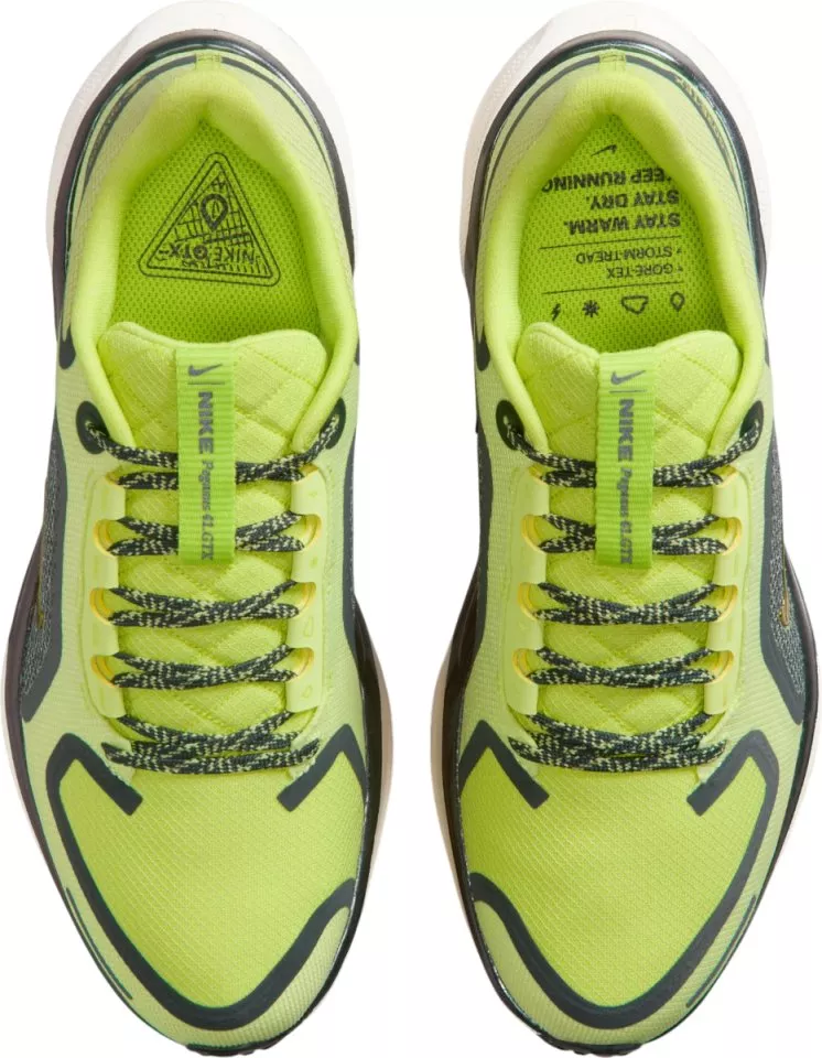 Juoksukengät Nike Pegasus 41 GORE-TEX