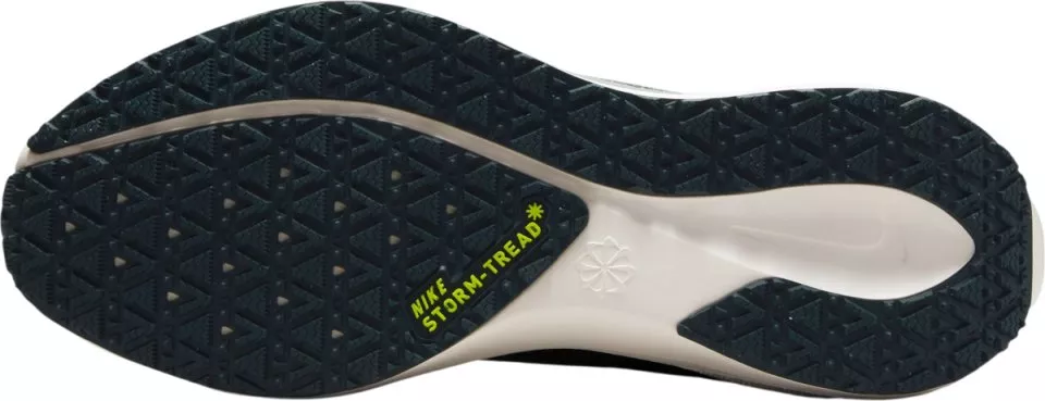 Juoksukengät Nike Pegasus 41 GORE-TEX