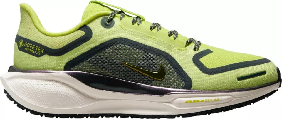 Juoksukengät Nike Pegasus 41 GORE-TEX