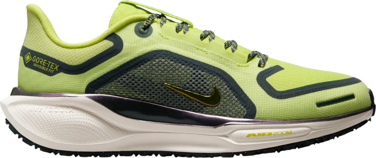 Juoksukengät Nike Pegasus 41 GORE-TEX