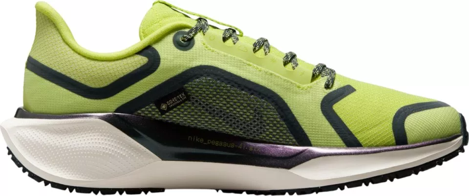 Juoksukengät Nike Pegasus 41 GORE-TEX