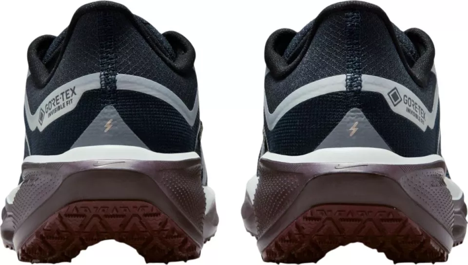 Buty do biegania Nike Pegasus 41 GORE-TEX