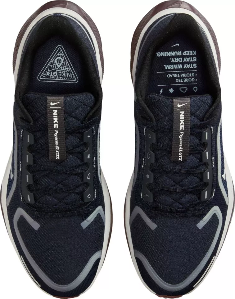 Buty do biegania Nike Pegasus 41 GORE-TEX