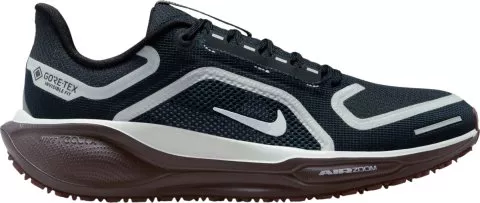 Pegasus 41 GORE-TEX