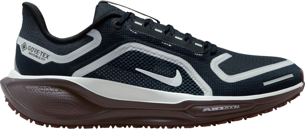 Buty do biegania Nike Pegasus 41 GORE-TEX