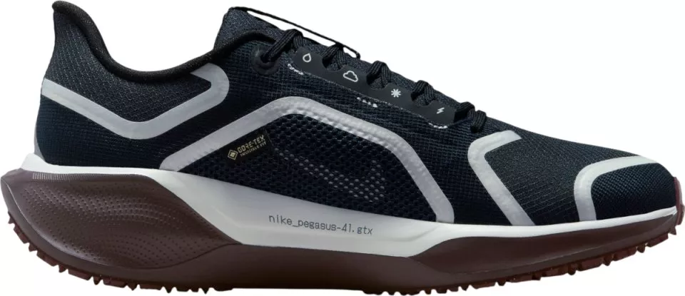 Buty do biegania Nike Pegasus 41 GORE-TEX