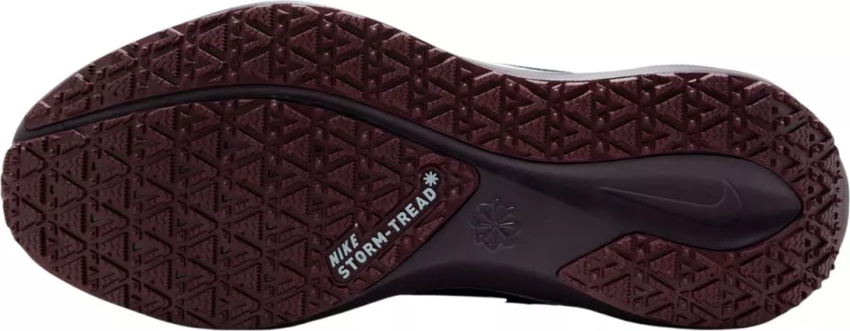 Buty do biegania Nike Pegasus 41 GORE-TEX