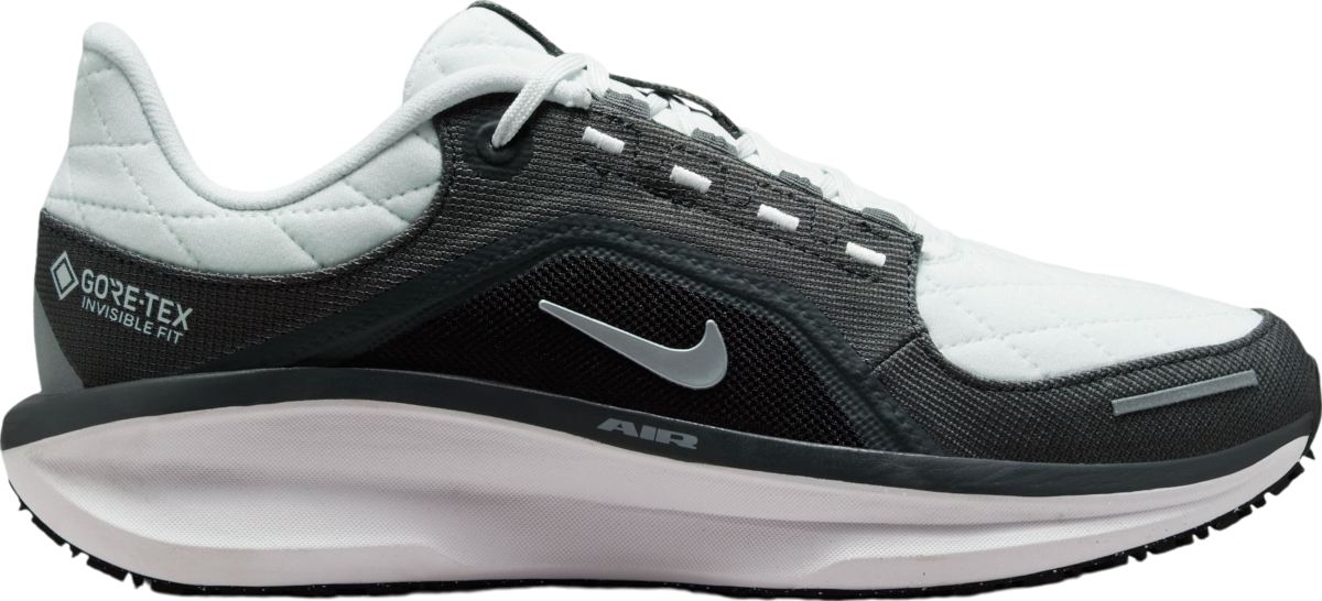 Laufschuhe Nike Winflo 11 GORE-TEX