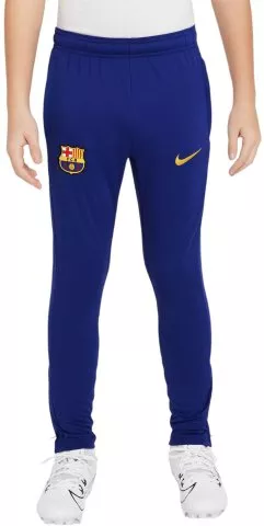 nike fcb y nk df acdpr pant kpz esn 798130 fq2768 456 480