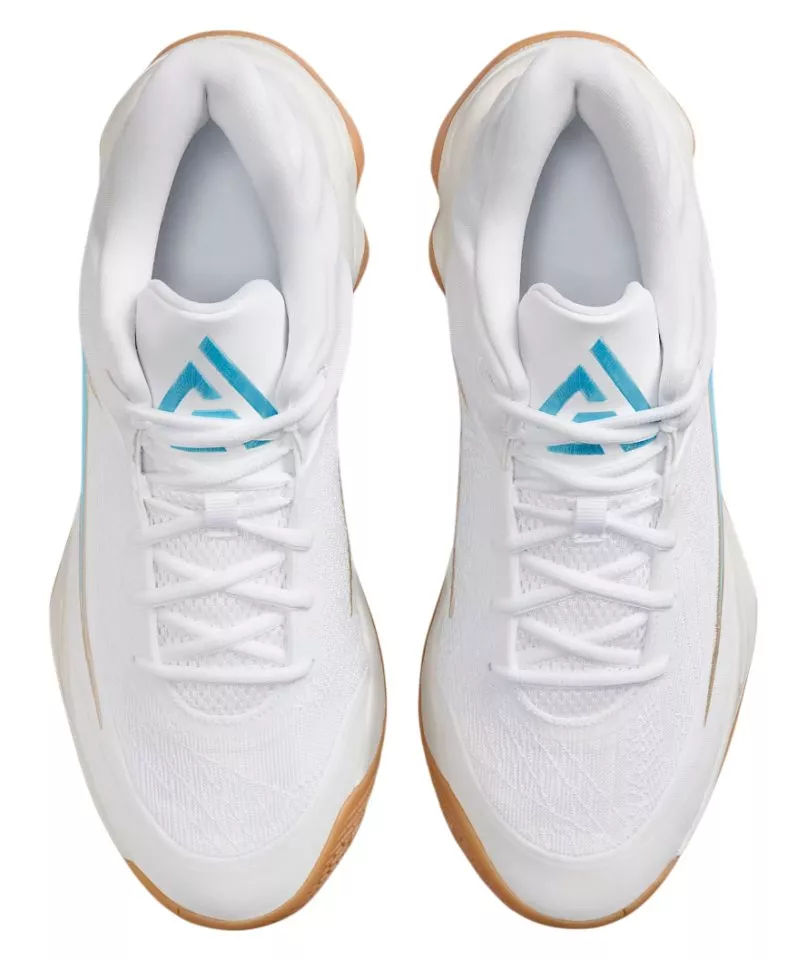 Basketball Schuhe Nike Giannis Immortality 4 Shoe