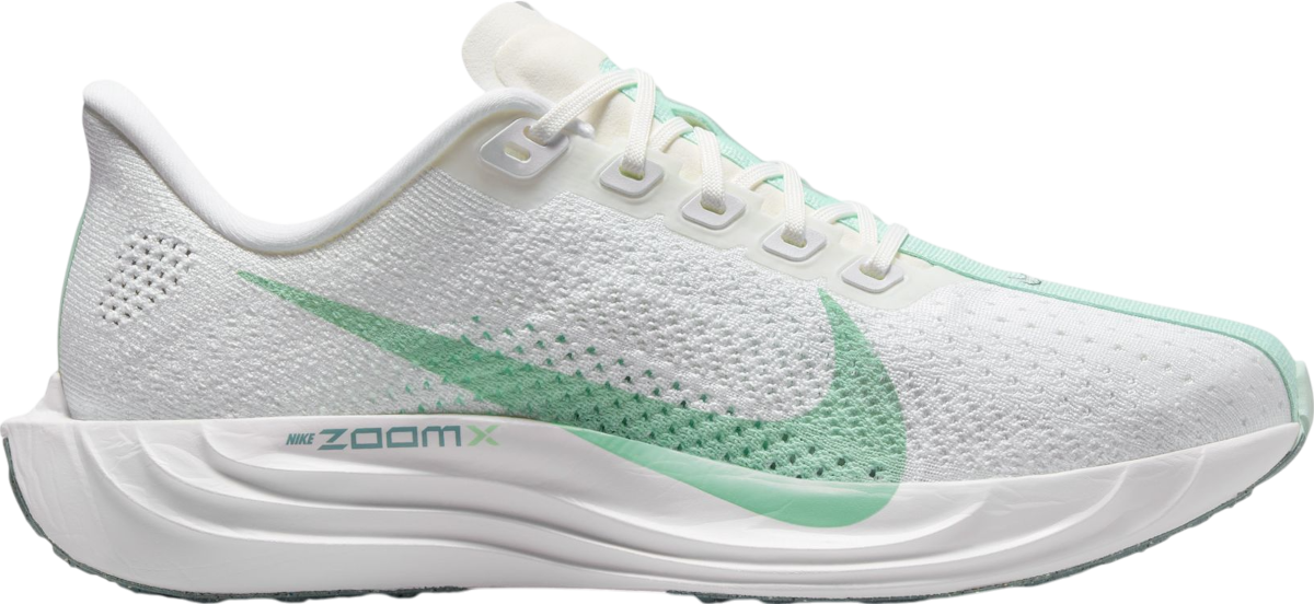 Laufschuhe Nike Pegasus Plus