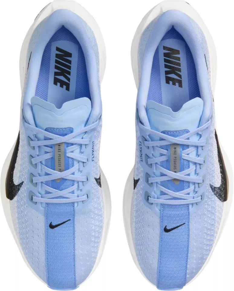 Laufschuhe Nike Pegasus Plus