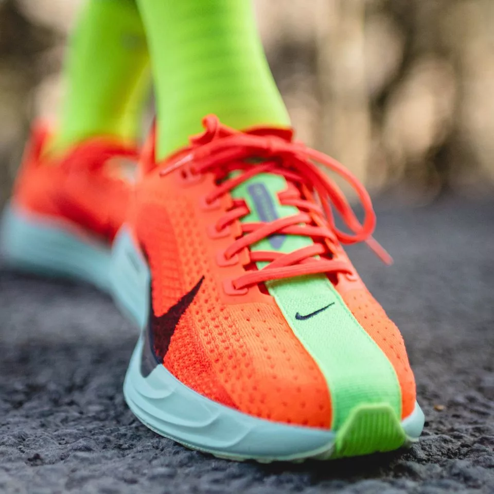 Laufschuhe Nike Pegasus Plus