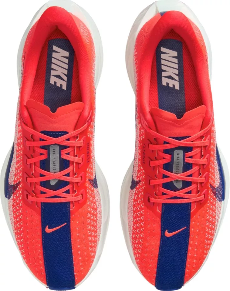 Laufschuhe Nike Pegasus Plus