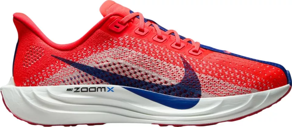 Laufschuhe Nike Pegasus Plus