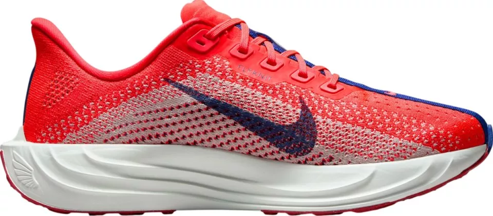 Laufschuhe Nike Pegasus Plus