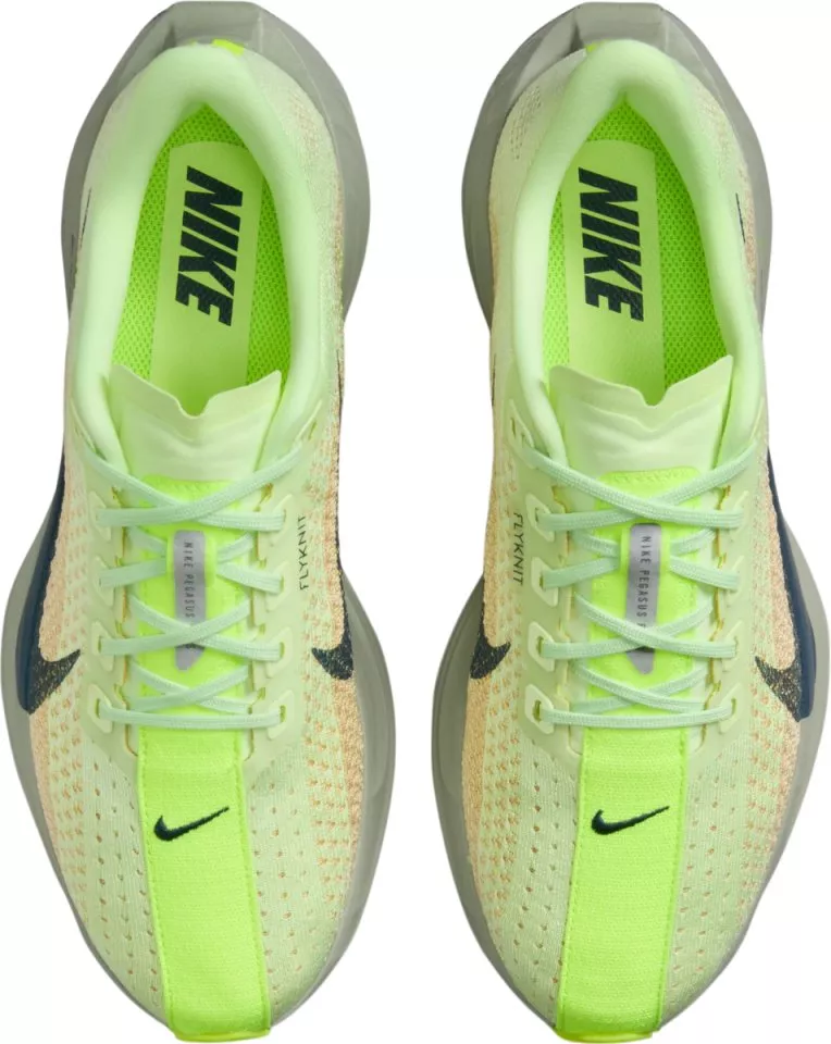 Laufschuhe Nike Pegasus Plus