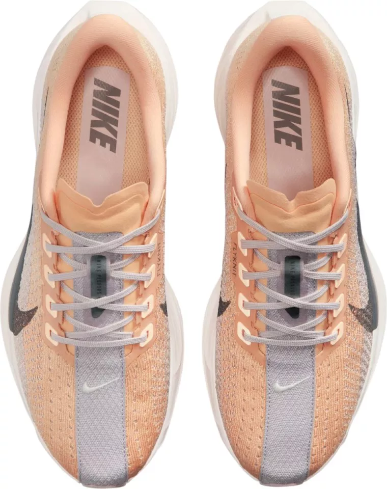 Running shoes Nike Pegasus Plus