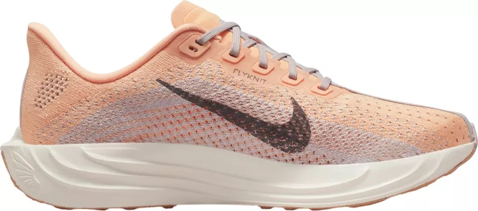 Running shoes Nike Pegasus Plus