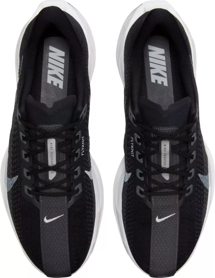 Laufschuhe Nike Pegasus Plus