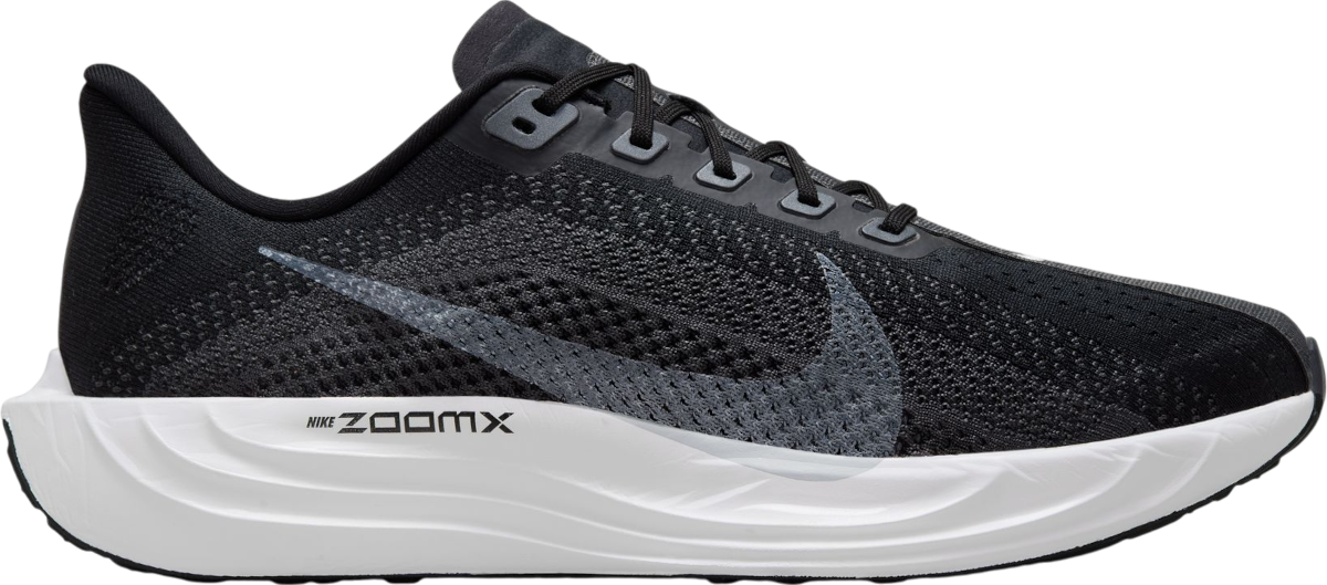 Laufschuhe Nike Pegasus Plus