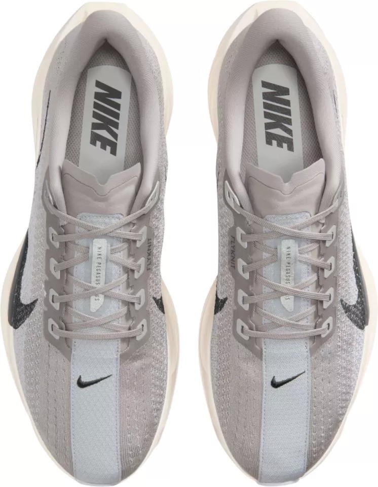 Pánské běžecké boty Nike Pegasus Plus