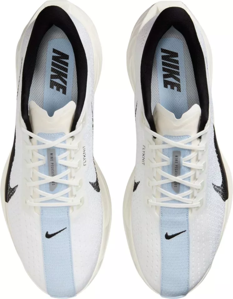 Laufschuhe Nike Pegasus Plus