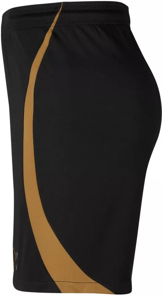 Шорти Nike SCP M NK x CR7 DF STAD SHORT 2023/24